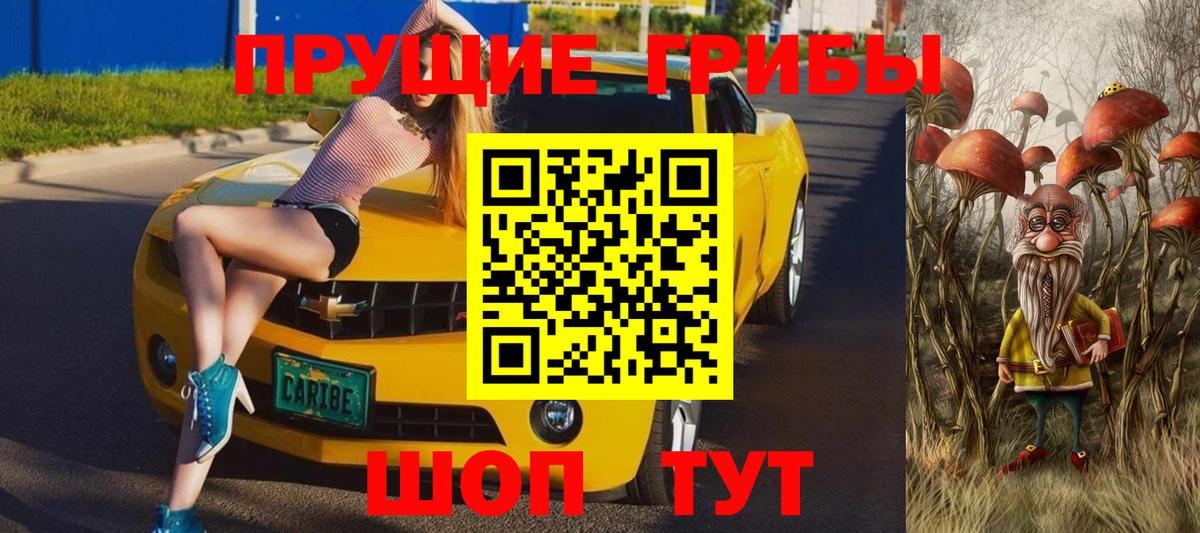 где купить   Галлюциногенные грибы прущие грибы  Вход с VPN  Псилоцибиновые грибы Cubensis  Минеральные Воды 